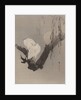 Egrets in a Tree at Night, ca. 1887 by Watanabe Seitei