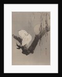 Egrets in a Tree at Night, ca. 1887 by Watanabe Seitei