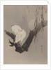 Egrets in a Tree at Night, ca. 1887 by Watanabe Seitei