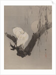 Egrets in a Tree at Night, ca. 1887 by Watanabe Seitei
