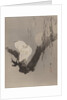 Egrets in a Tree at Night, ca. 1887 by Watanabe Seitei