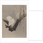 Egrets in a Tree at Night, ca. 1887 by Watanabe Seitei