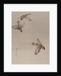 Sparrows Flying, ca. 1887 by Watanabe Seitei
