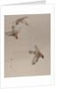 Sparrows Flying, ca. 1887 by Watanabe Seitei