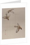 Sparrows Flying, ca. 1887 by Watanabe Seitei