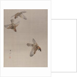 Sparrows Flying, ca. 1887 by Watanabe Seitei