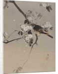 Birds on a Flowering Branch, ca. 1887 by Watanabe Seitei