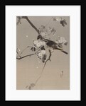 Birds on a Flowering Branch, ca. 1887 by Watanabe Seitei