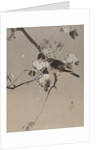 Birds on a Flowering Branch, ca. 1887 by Watanabe Seitei