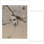 Birds on a Flowering Branch, ca. 1887 by Watanabe Seitei