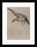 Duck, ca. 1887 by Watanabe Seitei