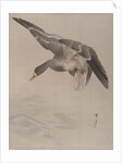 Duck, ca. 1887 by Watanabe Seitei