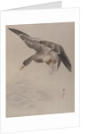 Duck, ca. 1887 by Watanabe Seitei