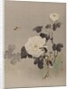 Roses, Young Bird and a Butterfly, ca. 1887 by Watanabe Seitei