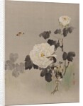 Roses, Young Bird and a Butterfly, ca. 1887 by Watanabe Seitei