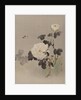 Roses, Young Bird and a Butterfly, ca. 1887 by Watanabe Seitei