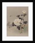 Roses, Young Bird and a Butterfly, ca. 1887 by Watanabe Seitei