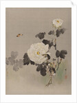 Roses, Young Bird and a Butterfly, ca. 1887 by Watanabe Seitei