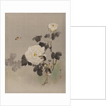 Roses, Young Bird and a Butterfly, ca. 1887 by Watanabe Seitei
