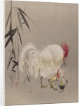 Rooster and Hen with Chicks, ca. 1887 by Watanabe Seitei