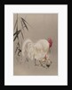 Rooster and Hen with Chicks, ca. 1887 by Watanabe Seitei