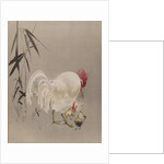 Rooster and Hen with Chicks, ca. 1887 by Watanabe Seitei
