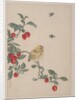 Birds, Insects and Flowers, 19th century by Yi Zhai