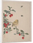 Birds, Insects and Flowers, 19th century by Yi Zhai