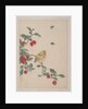 Birds, Insects and Flowers, 19th century by Yi Zhai