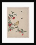 Birds, Insects and Flowers, 19th century by Yi Zhai
