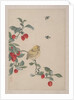 Birds, Insects and Flowers, 19th century by Yi Zhai
