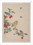 Birds, Insects and Flowers, 19th century by Yi Zhai