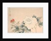 Flower Study, 17th century by Yun Bing