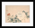 Flower Study, 17th century by Yun Bing
