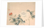 Flower Study, 17th century by Yun Bing