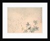 Flower Study, 17th century by Yun Bing