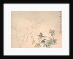 Flower Study, 17th century by Yun Bing