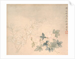 Flower Study, 17th century by Yun Bing