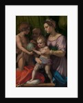 The Holy Family with the Young Saint John the Baptist, ca. 1528 by Andrea del Sarto