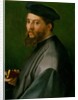 Portrait of a Man, 1528-30 by Andrea del Sarto