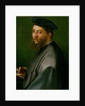 Portrait of a Man, 1528-30 by Andrea del Sarto