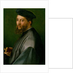 Portrait of a Man, 1528-30 by Andrea del Sarto