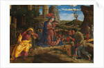 The Adoration of the Shepherds, shortly after 1450 by Andrea Mantegna