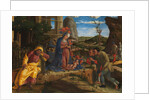 The Adoration of the Shepherds, shortly after 1450 by Andrea Mantegna