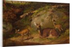 Doe and Two Fawns, 1882 by Arthur Fitzwilliam Tait