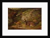 Doe and Two Fawns, 1882 by Arthur Fitzwilliam Tait