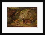 Doe and Two Fawns, 1882 by Arthur Fitzwilliam Tait