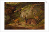 Doe and Two Fawns, 1882 by Arthur Fitzwilliam Tait