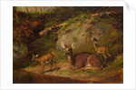 Doe and Two Fawns, 1882 by Arthur Fitzwilliam Tait