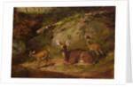 Doe and Two Fawns, 1882 by Arthur Fitzwilliam Tait